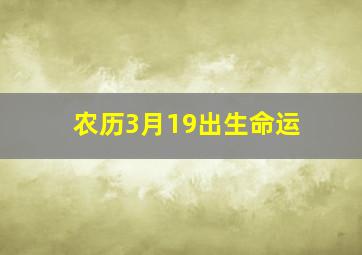 农历3月19出生命运