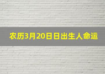 农历3月20日日出生人命运