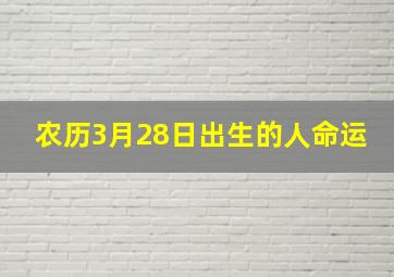 农历3月28日出生的人命运