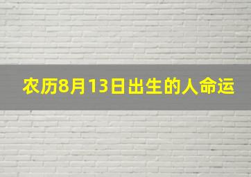 农历8月13日出生的人命运