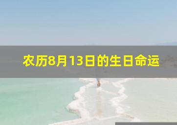 农历8月13日的生日命运