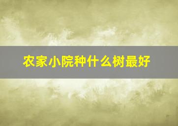 农家小院种什么树最好