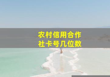 农村信用合作社卡号几位数