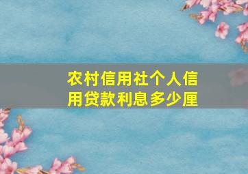 农村信用社个人信用贷款利息多少厘