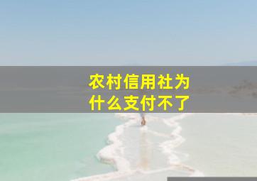 农村信用社为什么支付不了