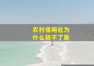 农村信用社为什么转不了账