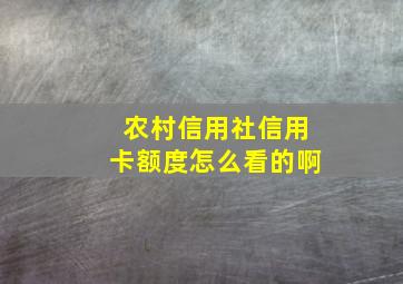 农村信用社信用卡额度怎么看的啊