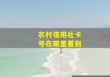 农村信用社卡号在哪里看到