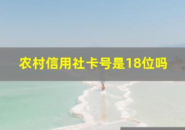 农村信用社卡号是18位吗