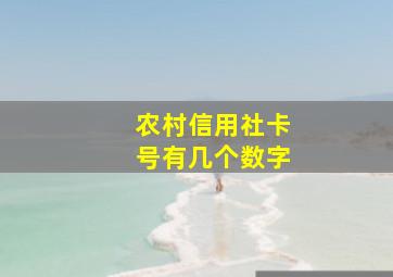 农村信用社卡号有几个数字