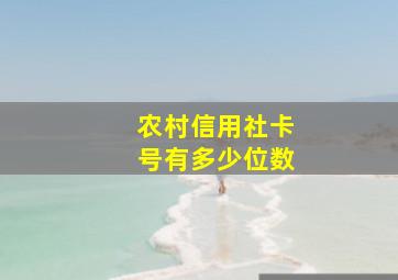 农村信用社卡号有多少位数