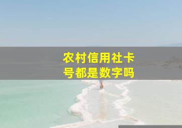 农村信用社卡号都是数字吗