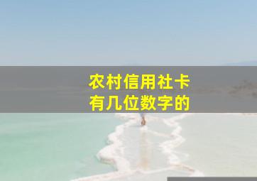 农村信用社卡有几位数字的