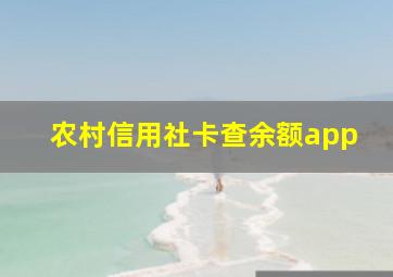 农村信用社卡查余额app