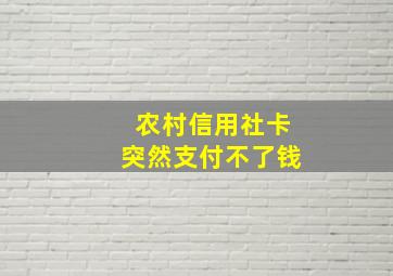 农村信用社卡突然支付不了钱