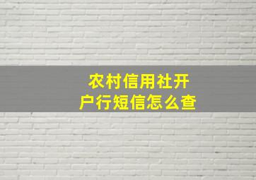 农村信用社开户行短信怎么查