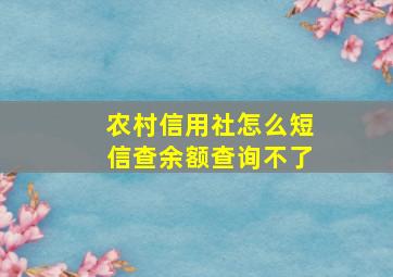 农村信用社怎么短信查余额查询不了