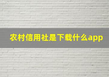 农村信用社是下载什么app