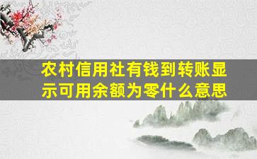 农村信用社有钱到转账显示可用余额为零什么意思