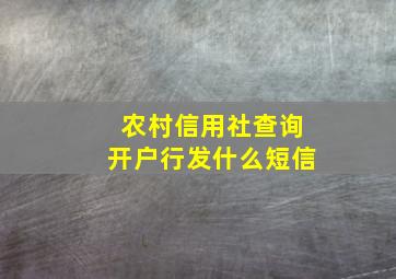 农村信用社查询开户行发什么短信