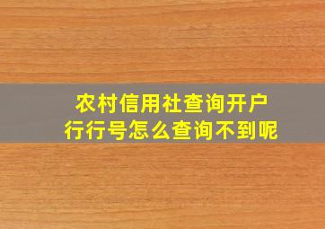 农村信用社查询开户行行号怎么查询不到呢