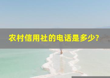 农村信用社的电话是多少?