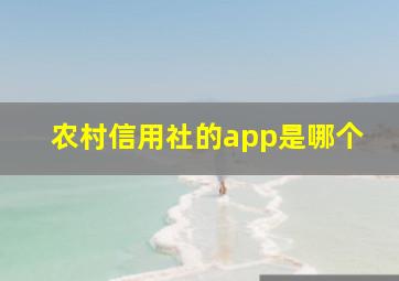 农村信用社的app是哪个