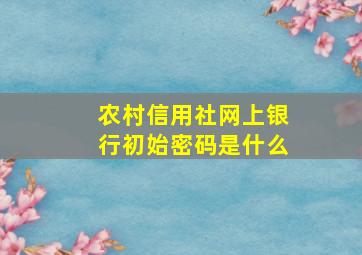 农村信用社网上银行初始密码是什么