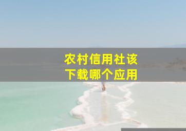 农村信用社该下载哪个应用