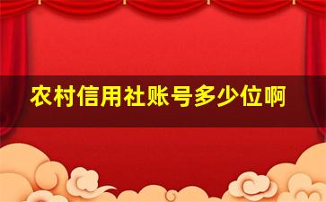 农村信用社账号多少位啊