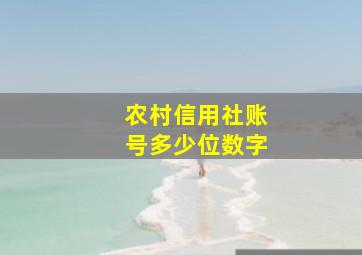 农村信用社账号多少位数字