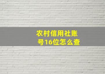 农村信用社账号16位怎么查