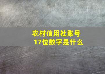 农村信用社账号17位数字是什么