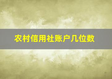 农村信用社账户几位数