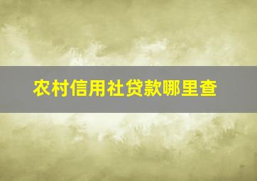 农村信用社贷款哪里查