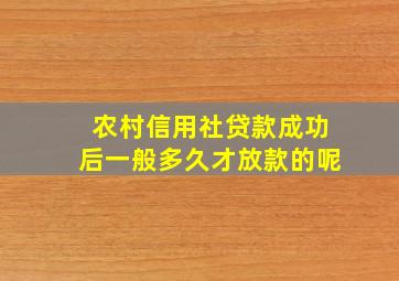 农村信用社贷款成功后一般多久才放款的呢