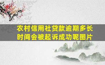 农村信用社贷款逾期多长时间会被起诉成功呢图片