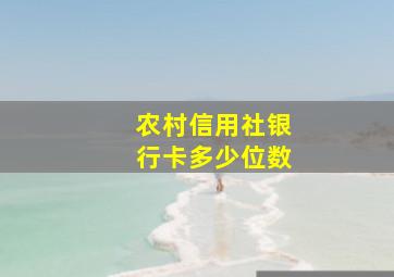 农村信用社银行卡多少位数