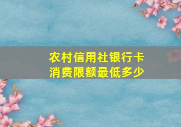 农村信用社银行卡消费限额最低多少