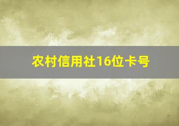 农村信用社16位卡号