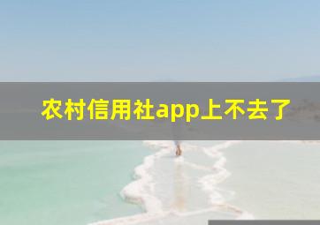 农村信用社app上不去了