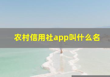 农村信用社app叫什么名