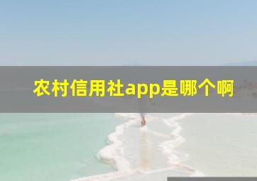 农村信用社app是哪个啊