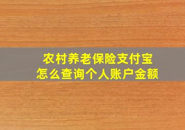 农村养老保险支付宝怎么查询个人账户金额