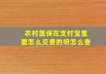 农村医保在支付宝里面怎么交费的呀怎么查