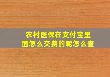 农村医保在支付宝里面怎么交费的呢怎么查