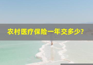 农村医疗保险一年交多少?