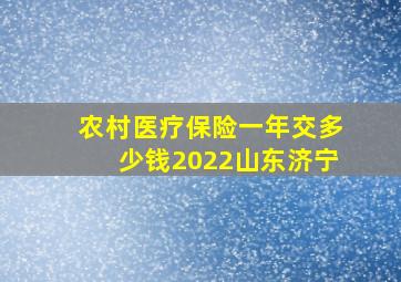 农村医疗保险一年交多少钱2022山东济宁