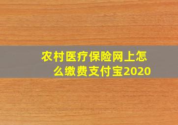 农村医疗保险网上怎么缴费支付宝2020