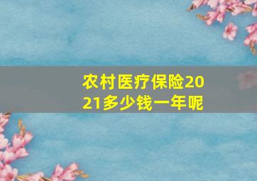 农村医疗保险2021多少钱一年呢